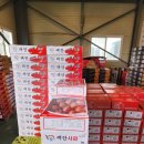 충서원예농협 하나로마트 | 농산물 경매. 충서원예농협 경매장. 서산 가볼만한 곳. 농산물 가격 폭등. 서산 농산물.