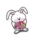 울릉벚꽃 이미지