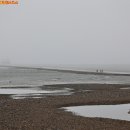 대부도관광안내소 이미지