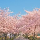 짐 화이트하우스 이미지