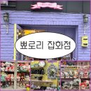 행궁동 소품샵 추천💜 일본 감성 가득한 ‘뾰로리 잡화점’ 텅장주의 후기
