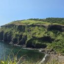 온평경로당 이미지