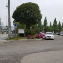 성주동행정복지센터 앞 이미지