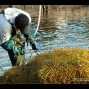 만선을 기원하며 이미지