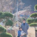 밸리애