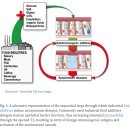 Re:장누수 증후군(leaky gut syndrome)과 자가면역질환에 대한 논문 이미지