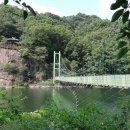 아젤리아 이미지