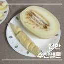 만경산멜론농장