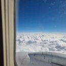 도쿄가다 | 도쿄에 가다🗼🗼🗼