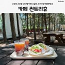 외동점 현대자동차 | 경주 외동 카페 썬트리휴｜숲뷰 힐링 제대로 되는 경주 대형카페 추천