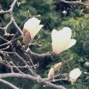 바라지 티스토리