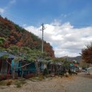 여울펜션민박 이미지