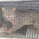 김종배농장 이미지