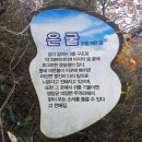 완도수목원 가로수길 이미지