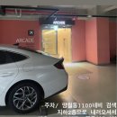 네일도빛나 네이버블로그