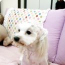 꼬까옷집
