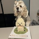 두몽언니