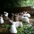 서파가든 이미지