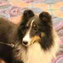 이지스힐 이미지