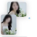 365약국 | 제주 스냅 해,, 아냐 하지마,, 아냐 해,,