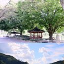 처남목장 이미지