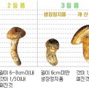 홍가네가든