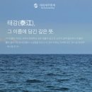 태강세무회계 - 강남구 봉은사로 610 | 태강세무회계