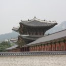 보물이네 이미지