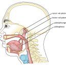 명작한의원 이미지