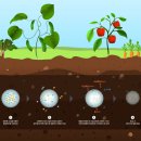 ㈜수지개발 이미지