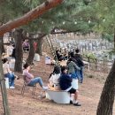 과천 렛츠런파크 벚꽃축제 이벤트 및 체험 부스