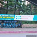 부천중앙공원매점 | 부천중앙공원 능소화 실시간 개화 상황 및 주차, 능소화 위치 서울 근교 능소화 명소