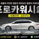 프로정성카