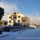 위미모루왓 네이버블로그