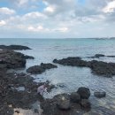 루디아의 테라스 이미지