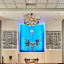 마이스터 이미지