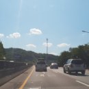 도그조아 이미지