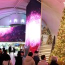 뚝섬한강공원-56 이미지