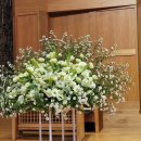 원주제일 이미지