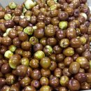 별마로 농장 이미지