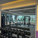 무브아틀리에 이미지