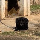 산동네가든 이미지