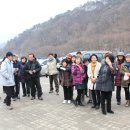 김봉구농장 이미지