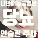 나만 애 동물병원 이미지