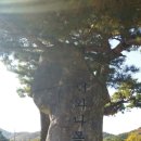 다혜목장 이미지