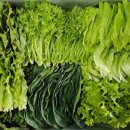 단일농장 이미지