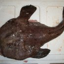 복순아구찜 이미지