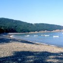 완도 예송리 상록수림 이미지