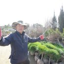 좋은나무 이미지