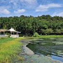 구불5길(물빛길) 이미지